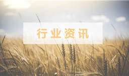 【行業資訊】如何為14億人儲備糧食？中國的儲備糧夠吃多久？