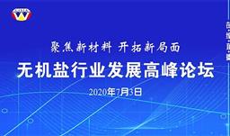 【行業資訊】中國無機鹽工業協會舉辦線上“無機鹽發展高峰論壇”