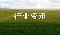 【行業資訊】復合肥高位堅挺，尿素局部企穩，二銨后市如何？